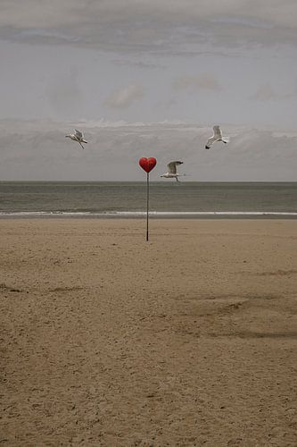 Sentinels on the Coast