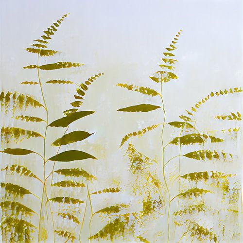Ferns and daisies by Bianca ter Riet