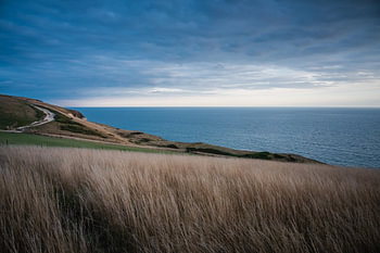 Dorset UK kust
