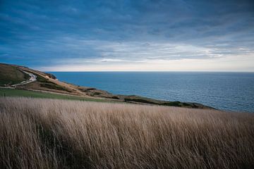 Dorset UK Küste von Wendy Drent