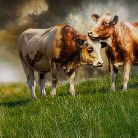 Koeien in de bergweide! van Marjolein Deelen