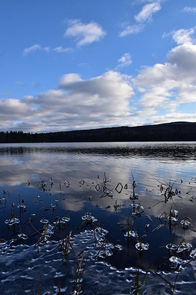 Spiegelung auf dem See im Herbst von Claude Laprise