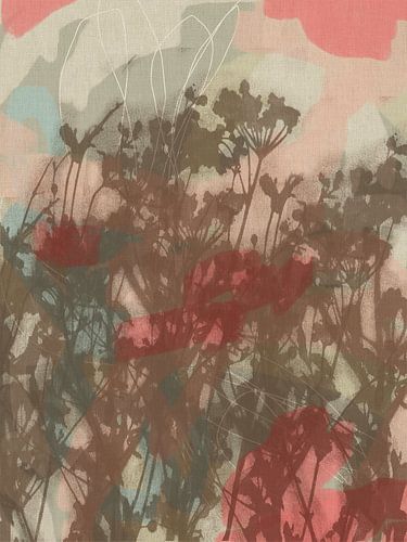 Kleurrijke botanische kunst in roze, bruin, wit, grijs. Monotypes weidebloemen.