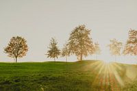 Zonsondergang in de Westhoek