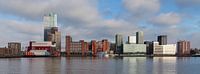 Waterfront Kop van Zuid Rotterdam by Paul Kampman thumbnail