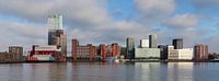 Waterfront Kop van Zuid Rotterdam