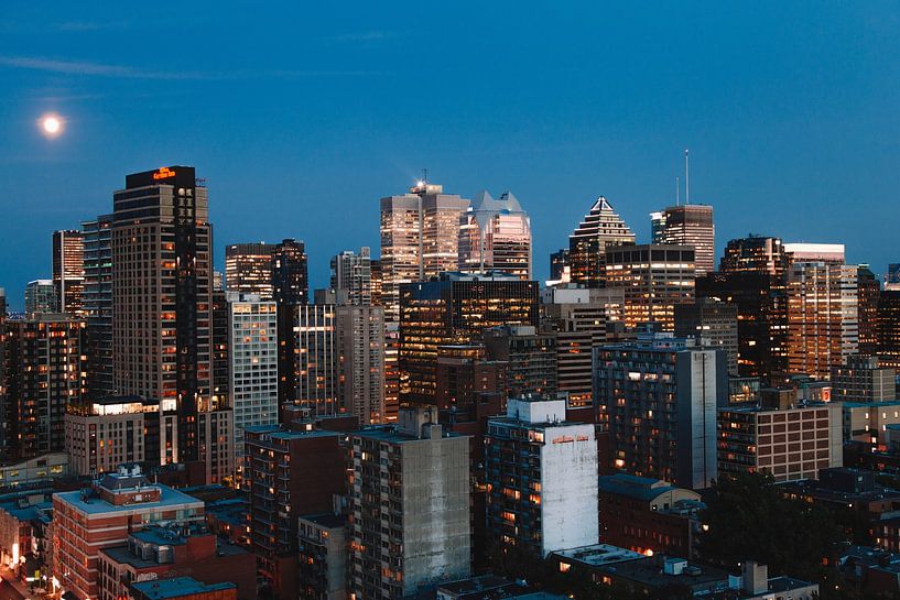 Montreal by Hello Pompoyo