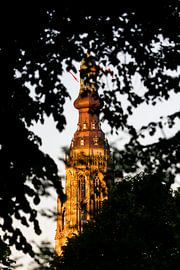Grote of onze lieve vrouwenkerk, Breda by Henny van Riel