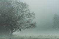 Onaf landschap III