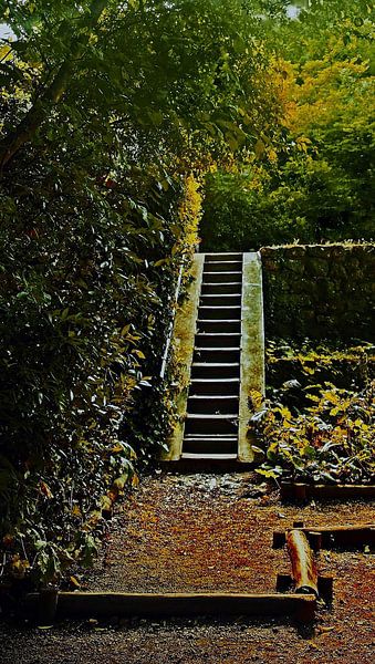 Trap in een herfstig bos. van Ineke de Rijk