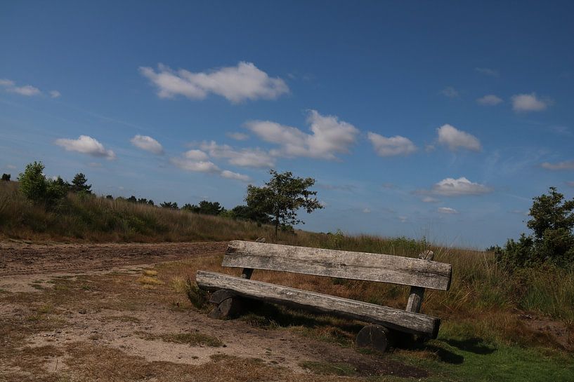 Kootwijkerzand by Jayne Wilby