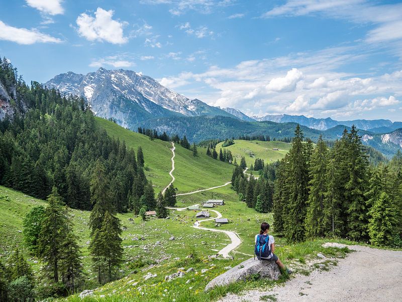 View of the Watzmann in the Berchtesgaden Alps by Animaflora PicsStock