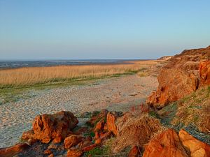 Abendstimmung am Kliff in Morsum, Sylt