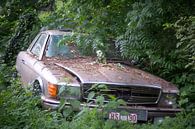 Mercedes in het Bos. van Roman Robroek - Foto's van Verlaten Gebouwen thumbnail