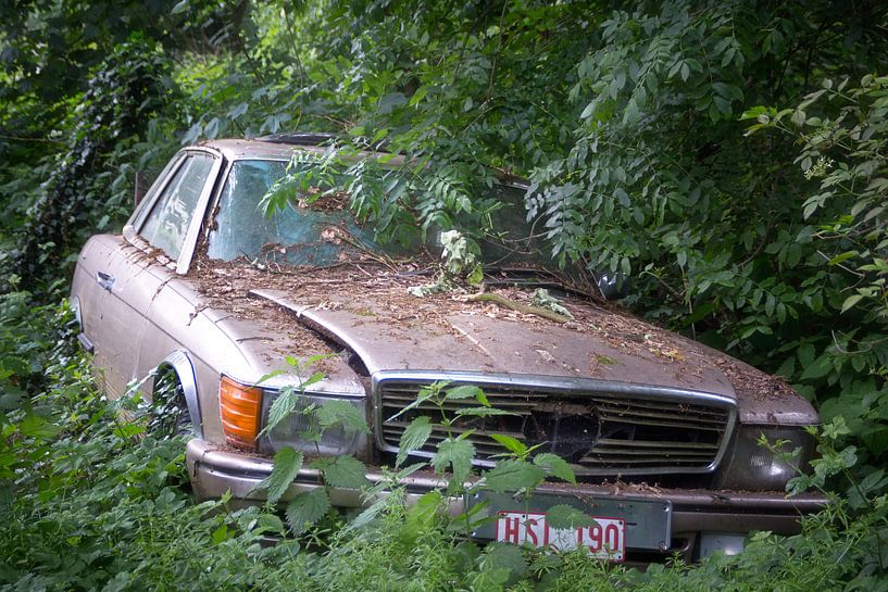 Mercedes im Wald. von Roman Robroek – Fotos verlassener Gebäude