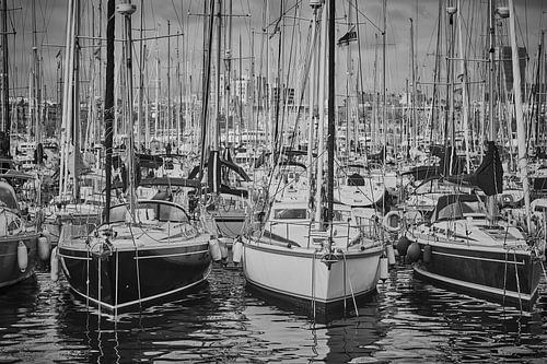 bereit zum Segeln, die Zukunft gehört Ihnen!