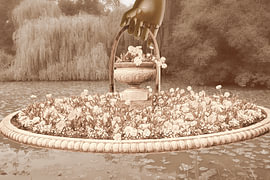Sepia Bloom by True Color Stories