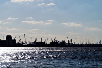 Port de Rotterdam / Harbour Rotterdam sur Maurits Bredius