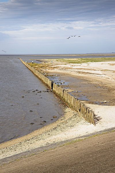 Wellenbrecher am Moddergat in Friesland von Rob Boon