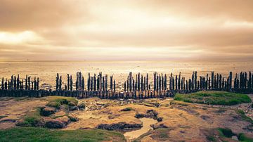 Blick auf das Wattenmeer bei Moddergat