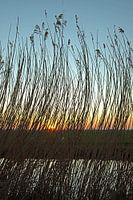 Sonnenuntergang