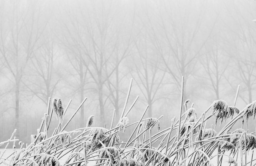 Winters tafereel by Hans Lubout