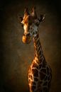Giraf van Claudia Moeckel thumbnail
