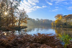 stille Herbstaufnahme in optima forma