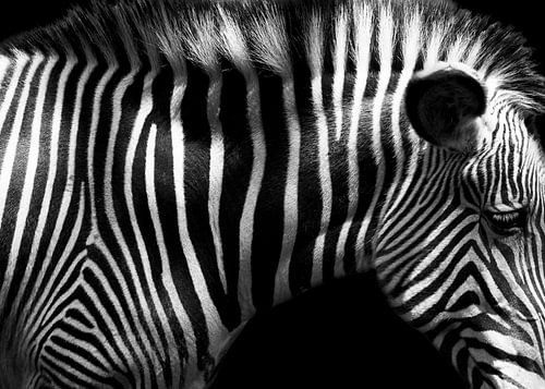 Patronen van herkenning