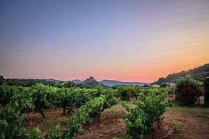 Sonnenuntergang über den Weinbergen von Michel de Jonge