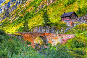 Mountain world