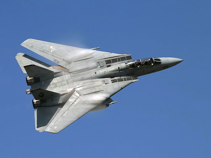 Grumman F-14 Tomcat, USA by Gert Hilbink