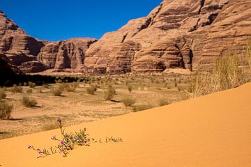 Wadi Rum by Antwan Janssen