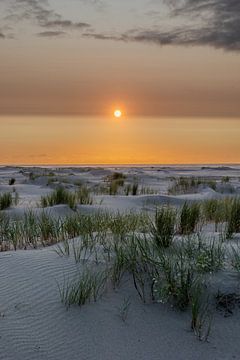 Zonsondergang op het strand tussen het helmgras op het eiland Terschelling van Lydia