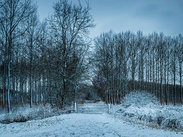 Winters landschap in Axel van Wesley Kole