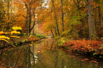 Autumn on Elswout estate