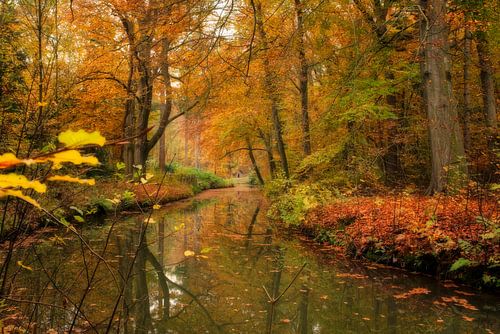 Herfst op landgoed Elswout