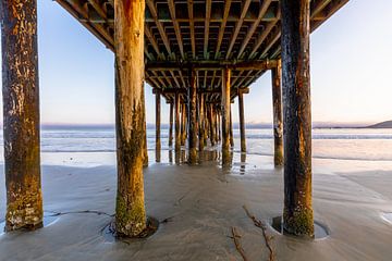 Wooden Pier in the Pacific by Remco Bosshard
