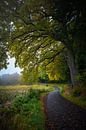 Landweg in de Herfst van Pascal Raymond Dorland thumbnail