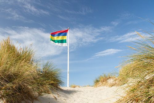 Dünen der Watteninsel Terschelling mit Flagge #5 von Marianne Klok