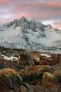 Mooie pastekleuren boven de besneeuwde bergen van Senja in Noorwegen van Jos Pannekoek thumbnail