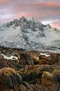 Beautiful pastel colours above the snowy mountains of Senja in Norway by Jos Pannekoek thumbnail