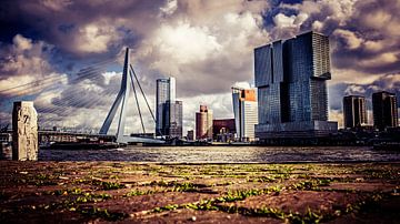 Prachtig uitzicht op Erasmusbrug Rotterdam van Bianca  Hinnen