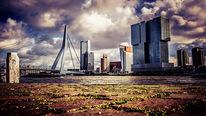 Wunderschöne Aussicht auf die Erasmusbrücke Rotterdam von Bianca  Hinnen