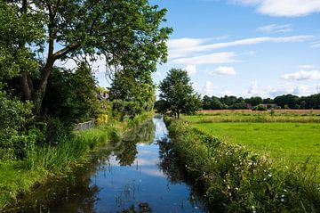 Creek around the village of Zwolle, the Netherlands with green t van Werner Lerooy