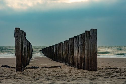 salt-land beach with groynes zeeland
