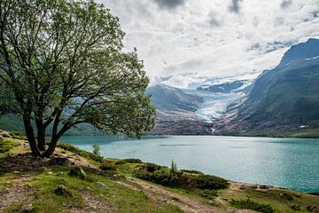 Gletsjer in Noorwegen