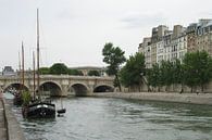 Seine in Paris par Anouk Davidse Aperçu