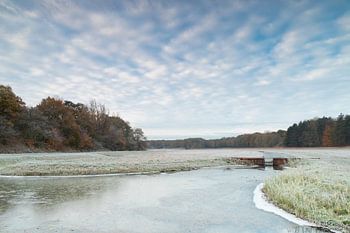 Herbst-Winter in einem Bild
