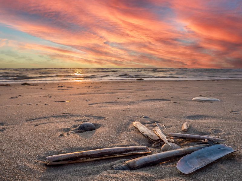 Sunset on the North Sea Beach by Animaflora PicsStock